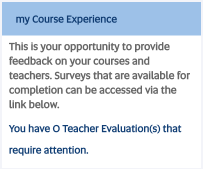 My Course Experience