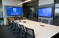Video Conferencing Rooms