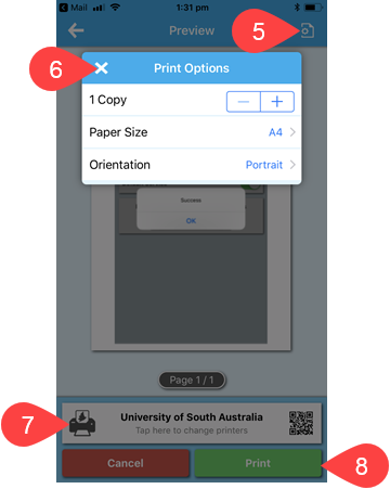 Screenshot of PrintOn preview and printing