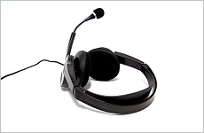 Compatible Headsets