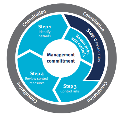 Risk management process