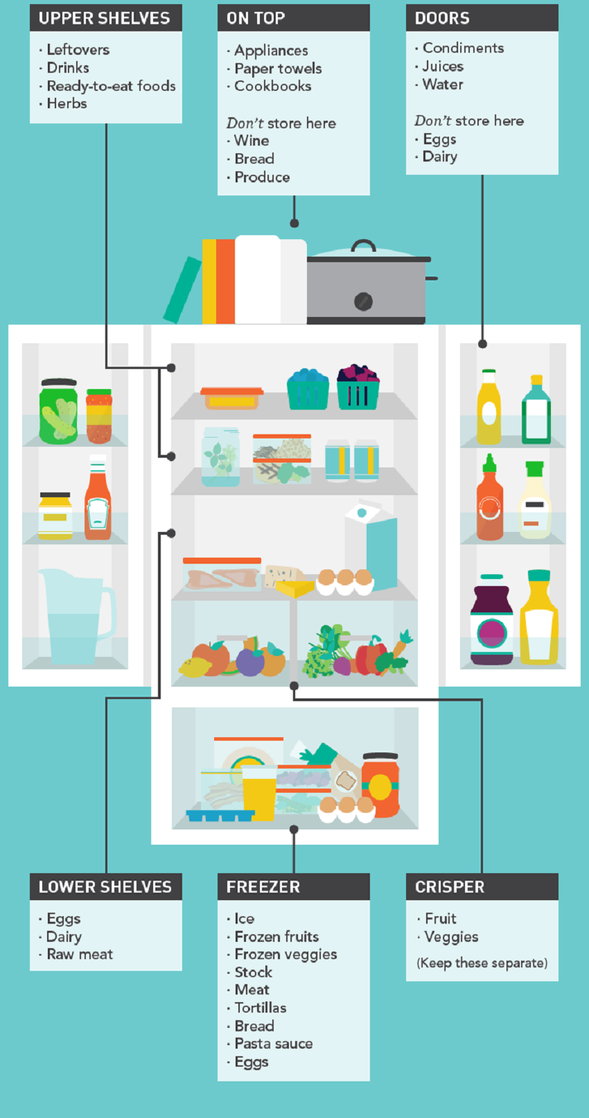 Refrigerator Storage Chart